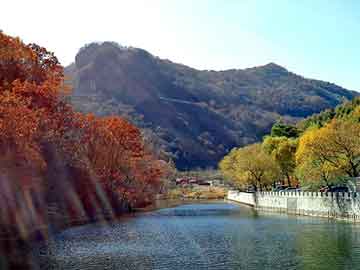 新澳门二四六天天彩，铜川seo程序